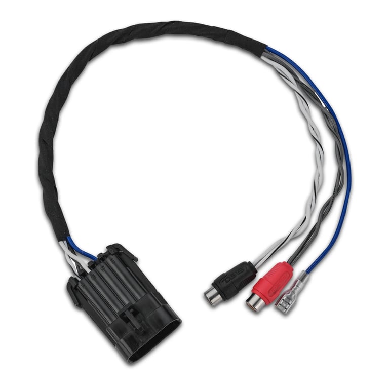 DS18 RZR-RC Image 1