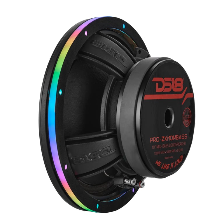 DS18 DLRING10 Image 3