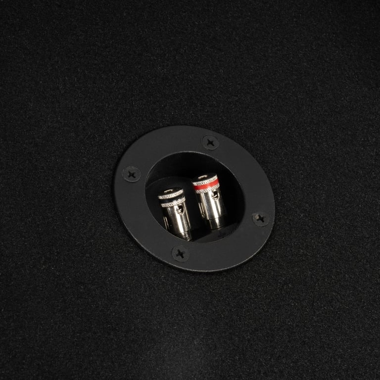 NVX NE101S w/ JL Audio 10W1v3-4 Image 8