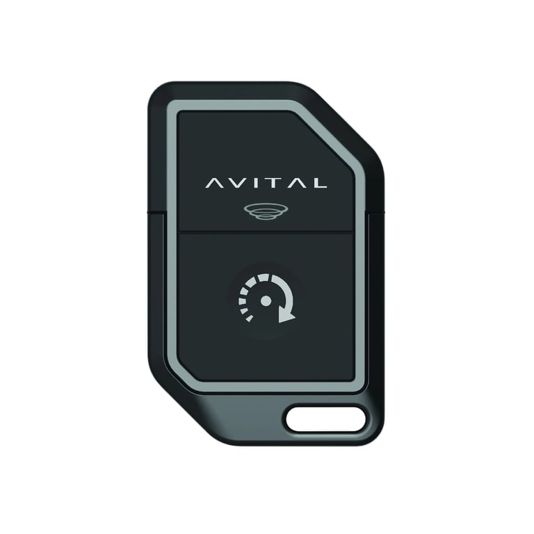 Avital 7617L Image 1