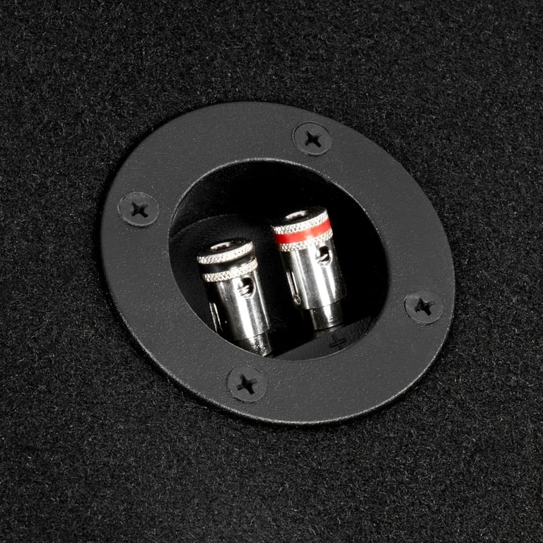 NVX NE121P w/ Kicker Comp 12 (43C124) Image 8