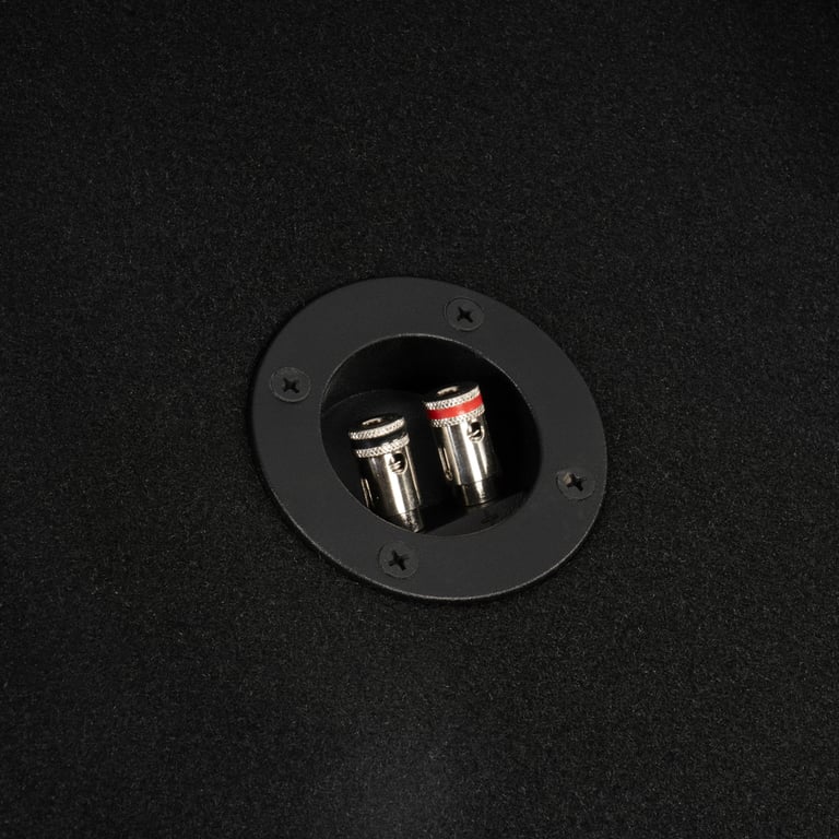 NVX NE101S w/ Rockford Fosgate Power T1 T1S2-10S Image 6