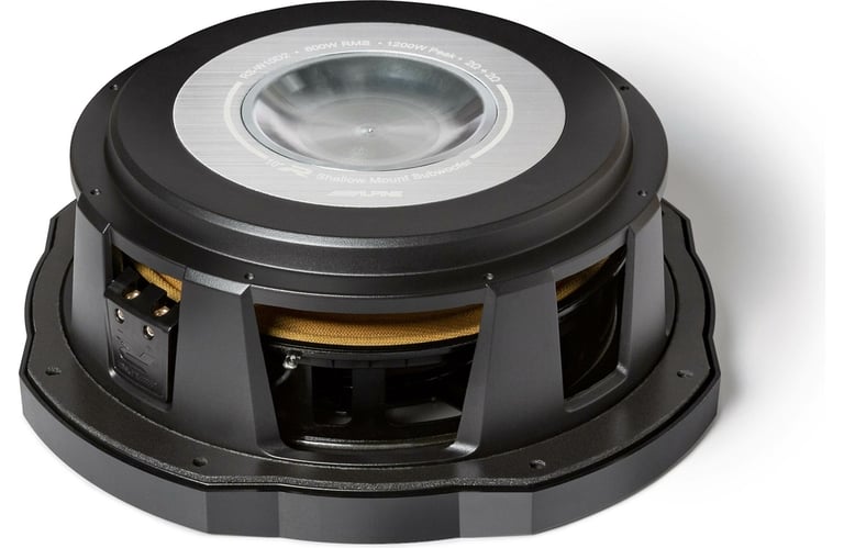 NVX NE101S w/ Alpine RS-W10D2 Image 11