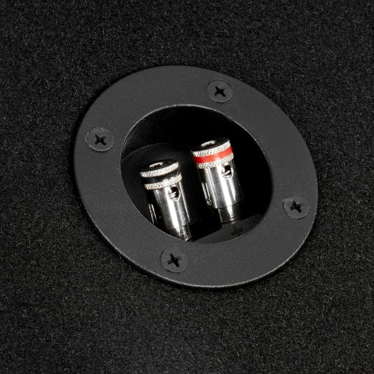 NVX NE101P w/ Rockford Fosgate Punch P2 P2D2-10 Image 7