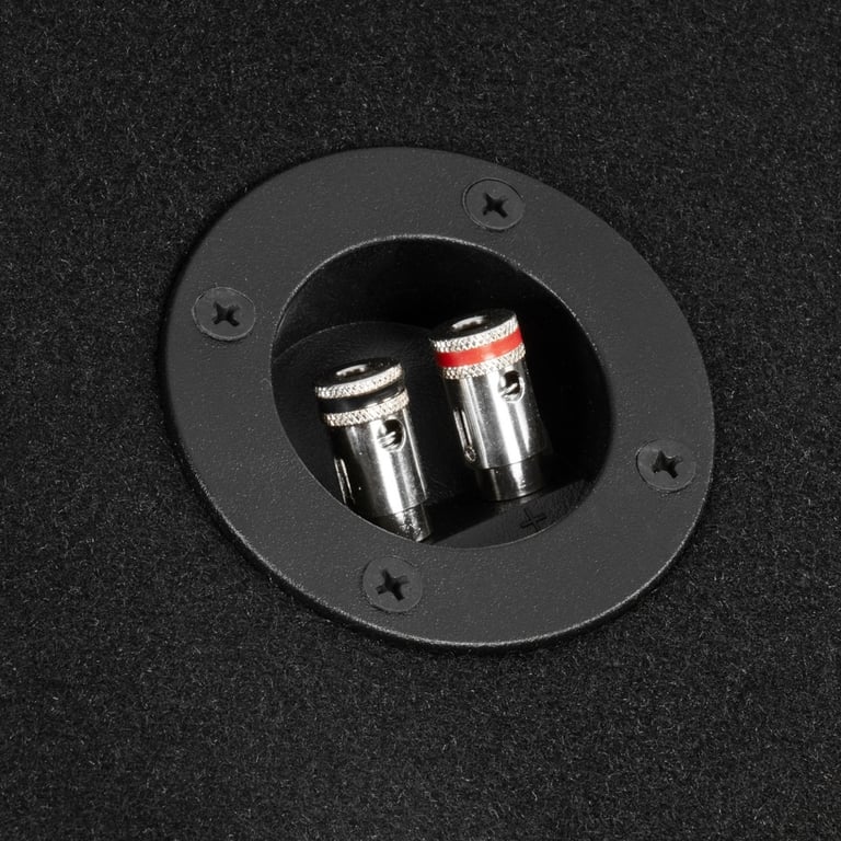 NVX NE121S w/ Alpine W12S4 Image 6