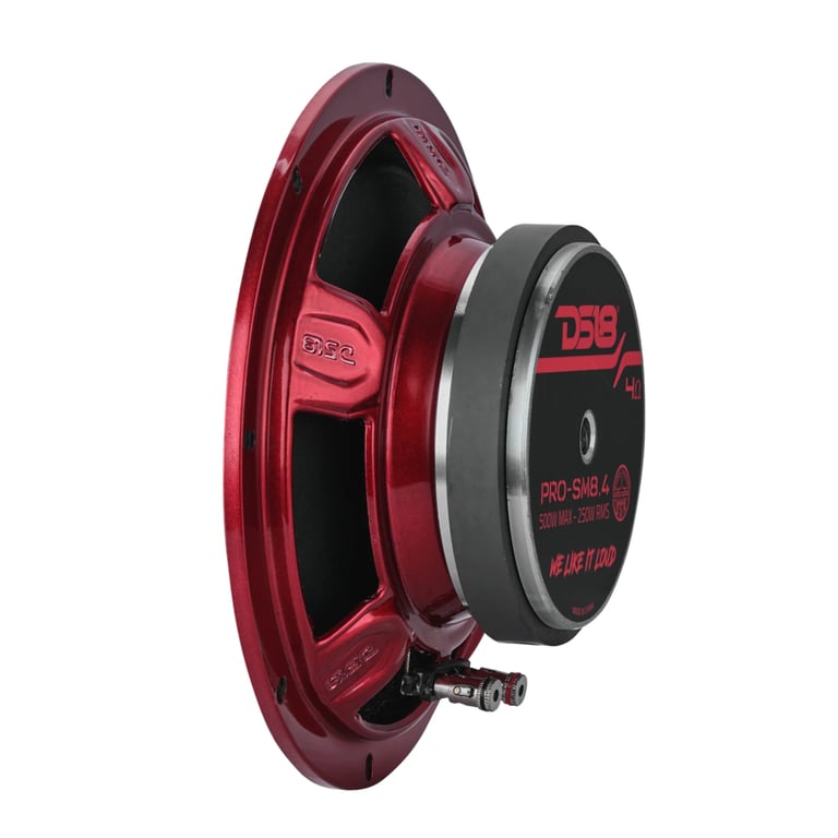 DS18 PRO-SM8.4 (Sold Individually) Image 4