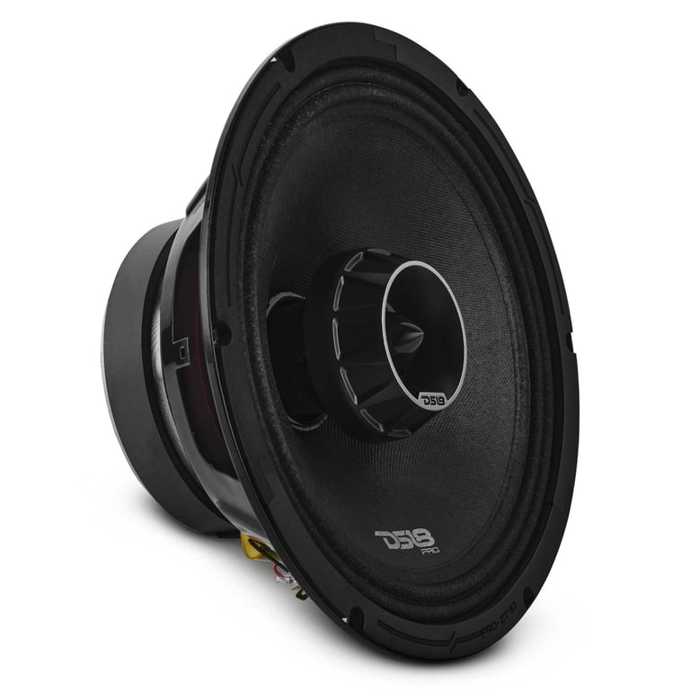 DS18 PRO-ZT10 (Sold Individually) Image 1