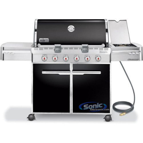 Weber 7321001 Image 1