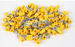 Xscorpion RTT10Y thumbnail
