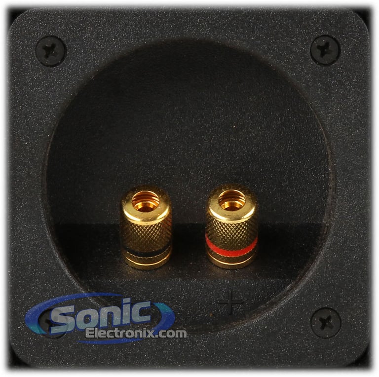 12DSPF Dual 12-inch Sub Box Open Box Image 8
