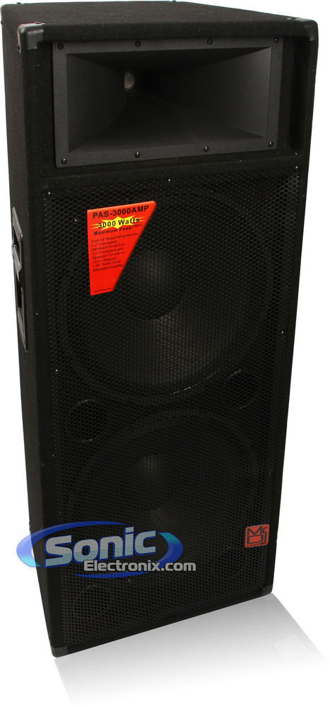 Mr DJ PAS-3000AMP Image 1