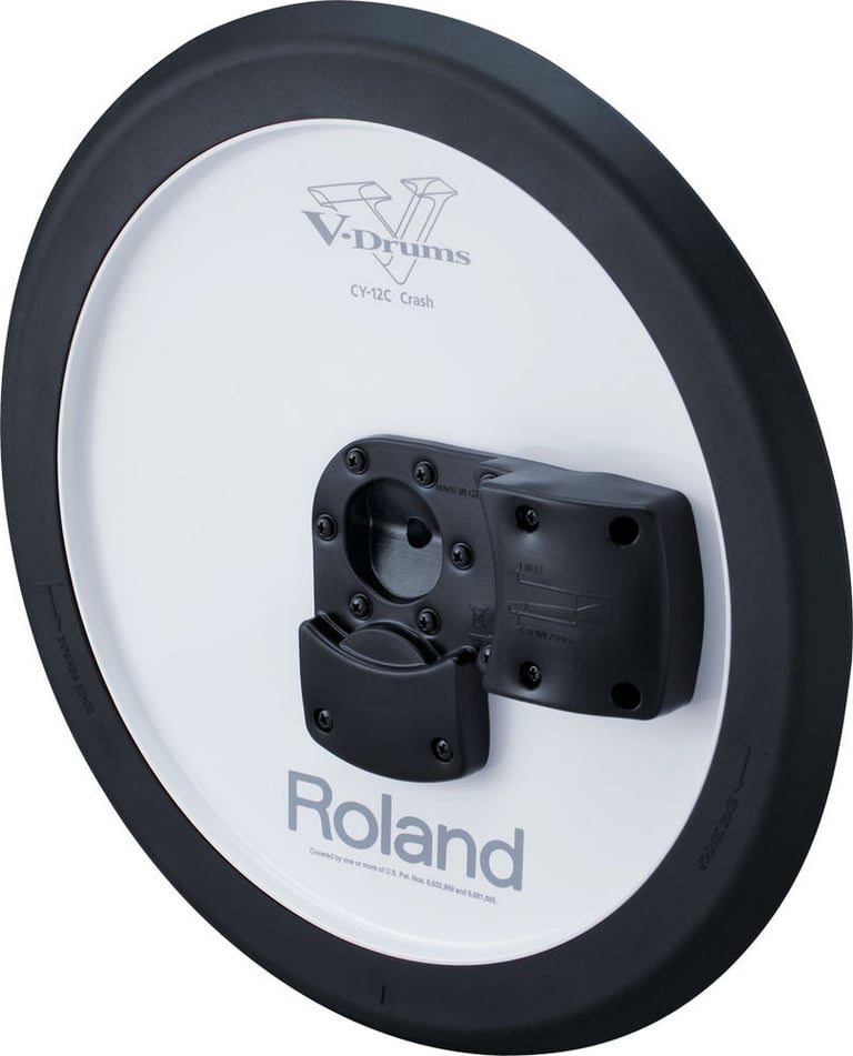 Roland CY-12C Image 2