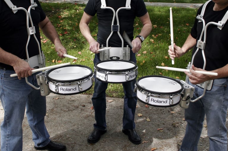 Roland RMP-12 Image 3