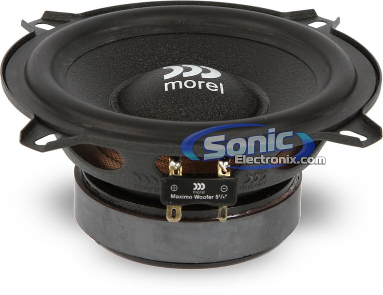 Morel Maximo 5 Image 4
