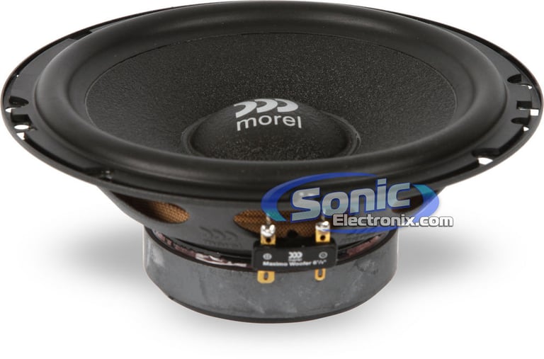 Morel Maximo 6 Image 4