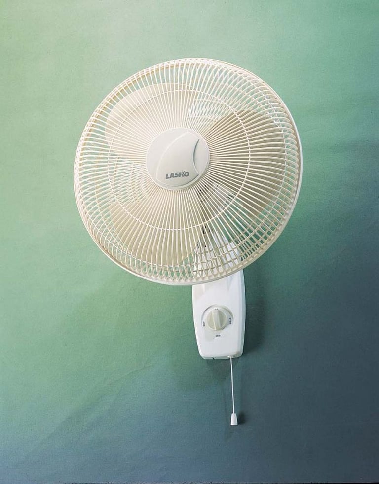 Lasko 3016 Image 1