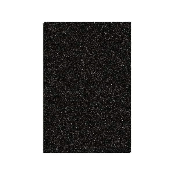 Holmes HAPF60-U3 Carbon Replacement Filter Image 1