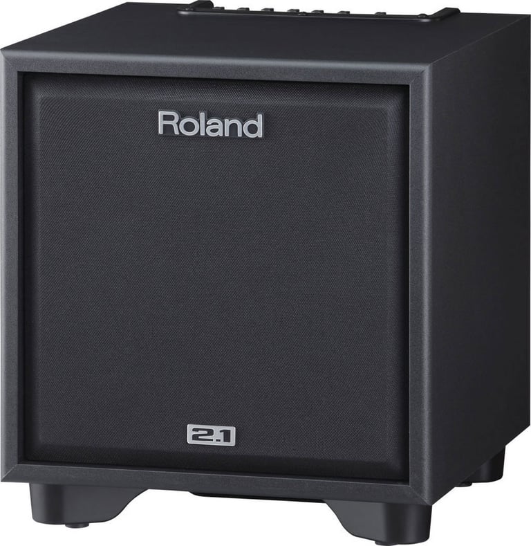 Roland CM-110 Image 2