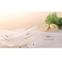 Foodsaver FSFSBF0116 thumbnail image