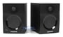 Samson SAMBT4 thumbnail image