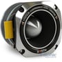Cadence XT20 (Sold Individually) thumbnail image
