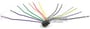 Pioneer Premier 16 PIN Head Unit Replacement Wiring Harness thumbnail image