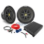 JVC KS-AX201 500W Monoblock + Kicker Dual 10