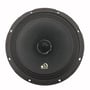 Massive Audio M8XL (Sold Individually) thumbnail image