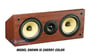 DCM Loudspeakers TP160C-B thumbnail image
