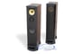 DCM Loudspeakers TFE100 thumbnail image