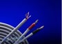 Monster Cable In-Wall Speaker Cable (MCX1S ML-15/15) thumbnail image