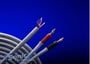 Monster Cable In-Wall Speaker Cable (MCX1S 500) thumbnail image