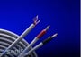 Monster Cable In-Wall Speaker Cable (MCX1S MT-10/10) thumbnail image