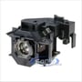 Epson V13H010L43 thumbnail image