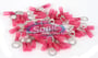 Xscorpion HSRT516R thumbnail image