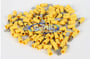 Xscorpion MD250Y thumbnail image