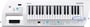 Roland Lucina AX-09 thumbnail image
