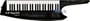 Roland AX-SYNTHBK thumbnail image