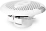Rockford Fosgate RF Marine M162C Image 3