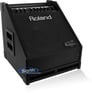 Roland PM-30 Image 2