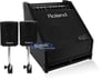 Roland PM-30 Image 1