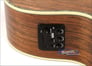 ESP EW-NAT (O) Image 4