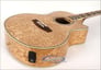ESP EW-NAT (QA) Image 2