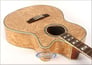 ESP EW-NAT (QA) Image 3