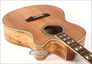 ESP EW-NAT (SM) Image 3