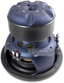 Phoenix Gold Ti12d Elite Image 3