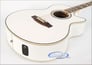 ESP AC-10E (PW) Image 2