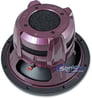 DLS Reference RW10i Image 3