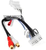 PAC AMP-VET1 Image 2
