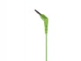 Scosche HP200G thudBUDS In-Ear Headphones/Earbuds (Green) Image 4